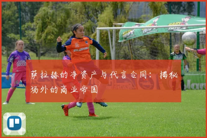 萨拉赫的净资产与代言合同：揭秘场外的商业帝国