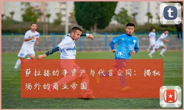 萨拉赫的净资产与代言合同：揭秘场外的商业帝国